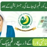 BISP 8171 Rs 13,500 Payment Verification Process October 2025