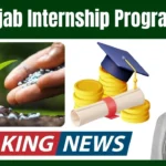 CM Punjab Internship Program 2025 for Agriculture Graduates – Apply Online with Full Details